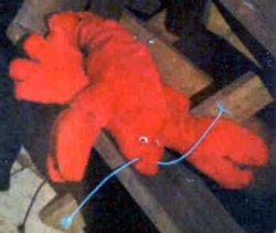 A picture of Lobby the Lobster that Scott made for Allison